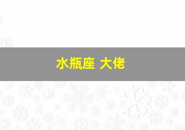 水瓶座 大佬